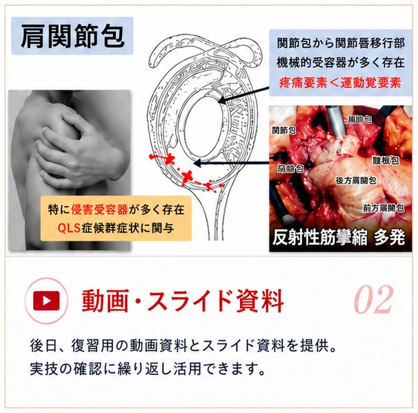 02 動画・スライド資料 — 後日、復習用の動画資料とスライド資料を提供。実技の確認に繰り返し活用できます
