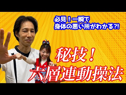 YouTube動画