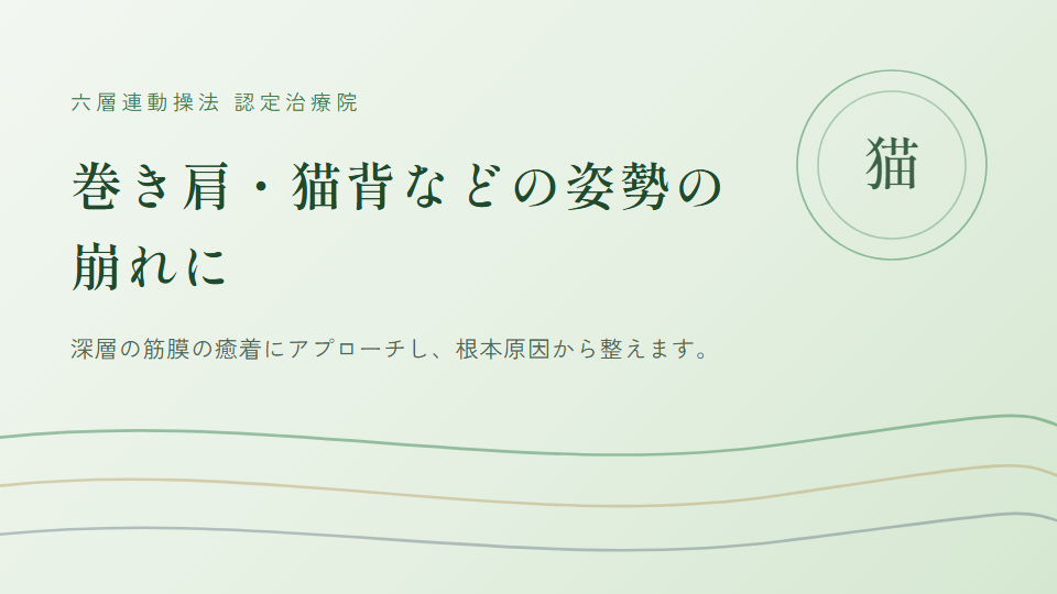 柏市にお住まいで『巻き肩・猫背』にお悩みの方へ｜整体院 いこい　