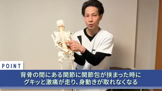 背骨の間の関節に「関節包」が挟まると、グキッと激痛が走り動けなくなります(動画より)