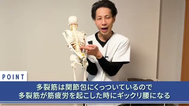 多裂筋は関節包にくっついていて、筋疲労で働けなくなるとぎっくり腰につながります(動画より)