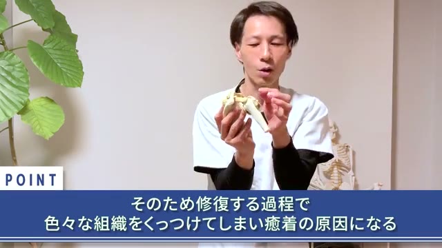 修復の過程で組織がくっつき、癒着が起こります（動画より）