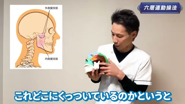 あごの奥にある深い筋肉「内側翼突筋・外側翼突筋」。ここのこわばりがカギです(動画より)