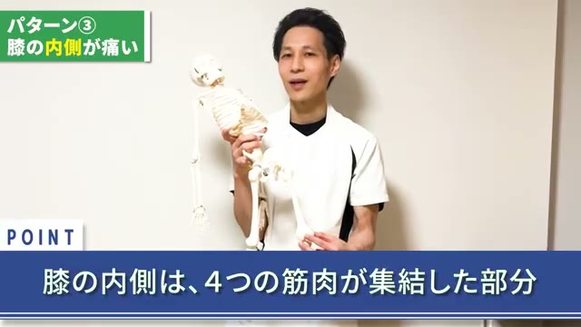 膝の内側は、4つの筋肉が集まる部分（動画より）