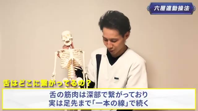 舌の筋肉は深部でつながり、足先まで“一本の線”で続きます(動画より)