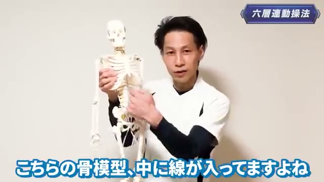 体の“中”を通る深部のつながり(ディープフロントライン)が、首・肩を下から引っ張ります(動画より)